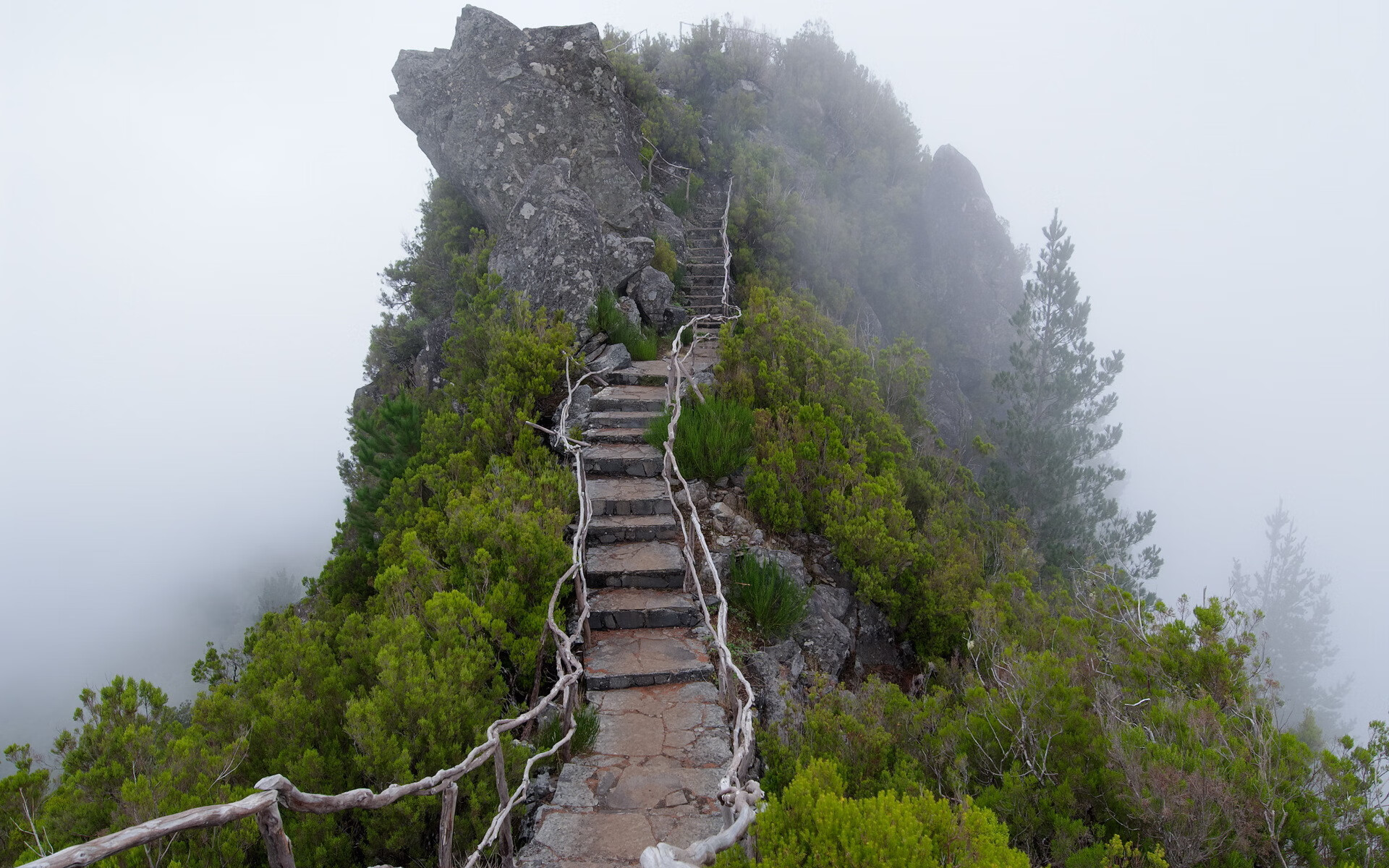 世界短跑锦标赛资格赛：年轻选手制造多场惊喜，世界短跑锦标赛的视频